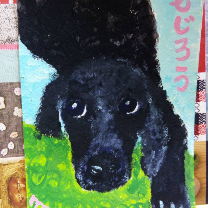 4b372ba0 0253 4e23 b00f 818ee2912f85