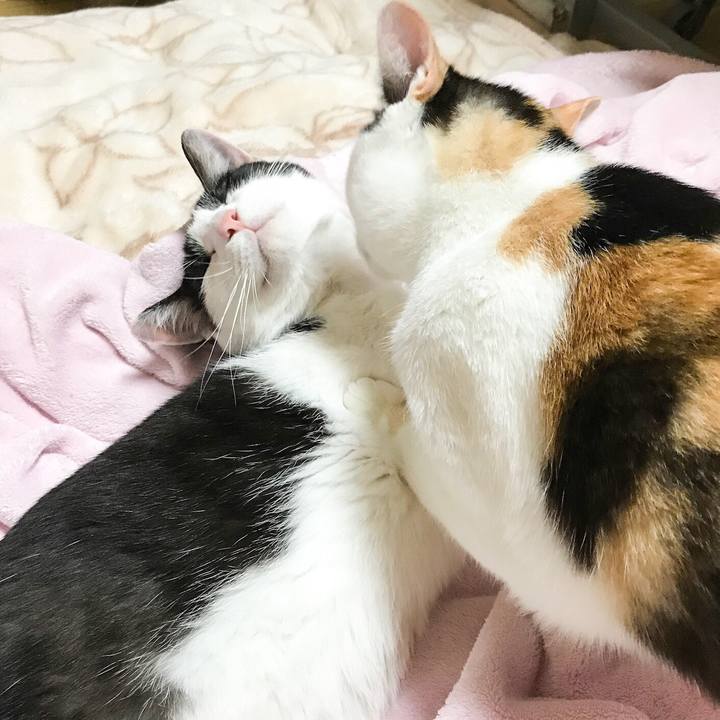 4b386c66 1ef6 4692 aad2 fed1df830ddd