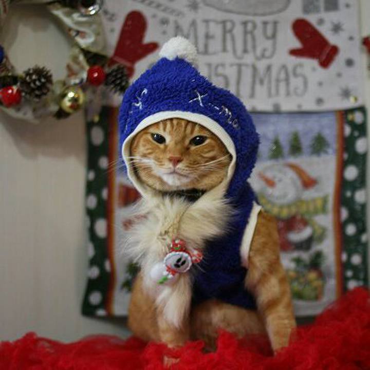 4b38a2ee cebf 4e3e b73c 2c19a75bd40a