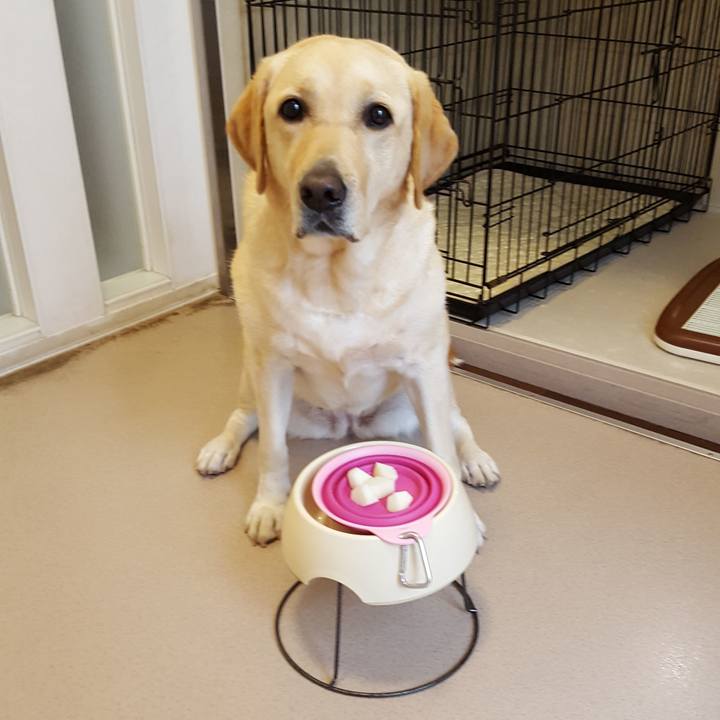 4b38c908 78d1 48e3 8674 3c0be6e45467