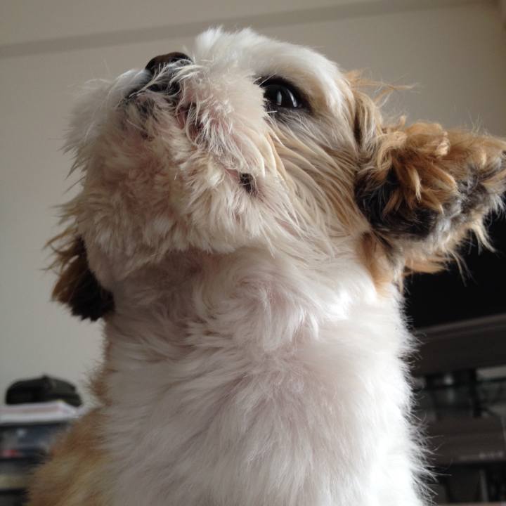 4b39ece1 b930 4d95 9e19 24725e35f2ab