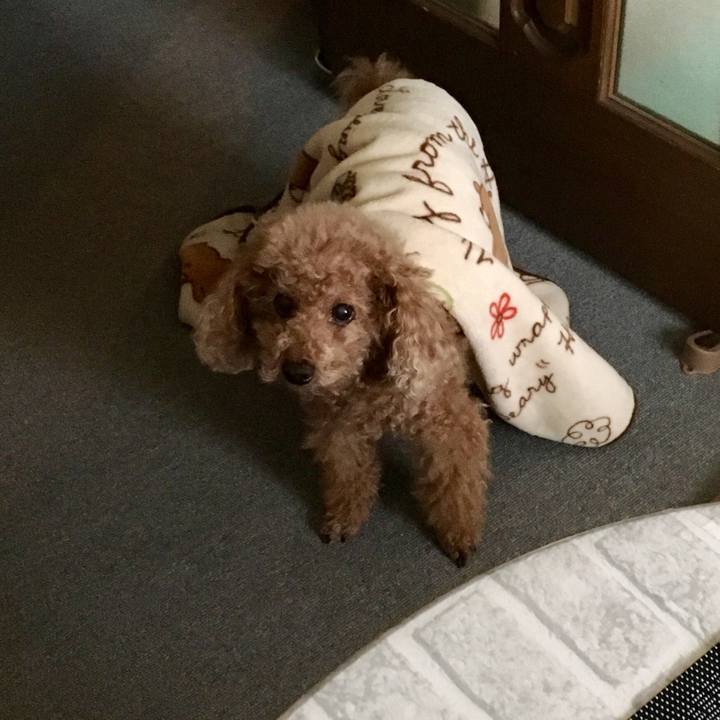 4b3a8c6a 9033 4bb3 8411 c5e6d912d98c