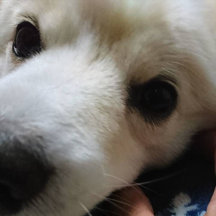 4b3aa8da dbe9 4292 9fba fc0d5bfb8a33