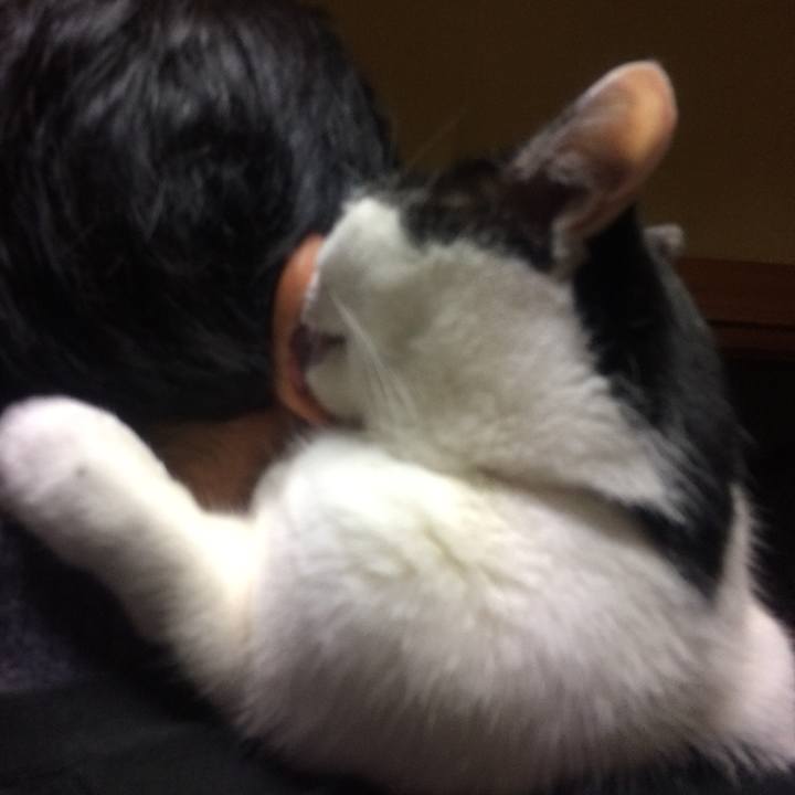 4b3b099d 62e3 47f4 b038 857c29955090