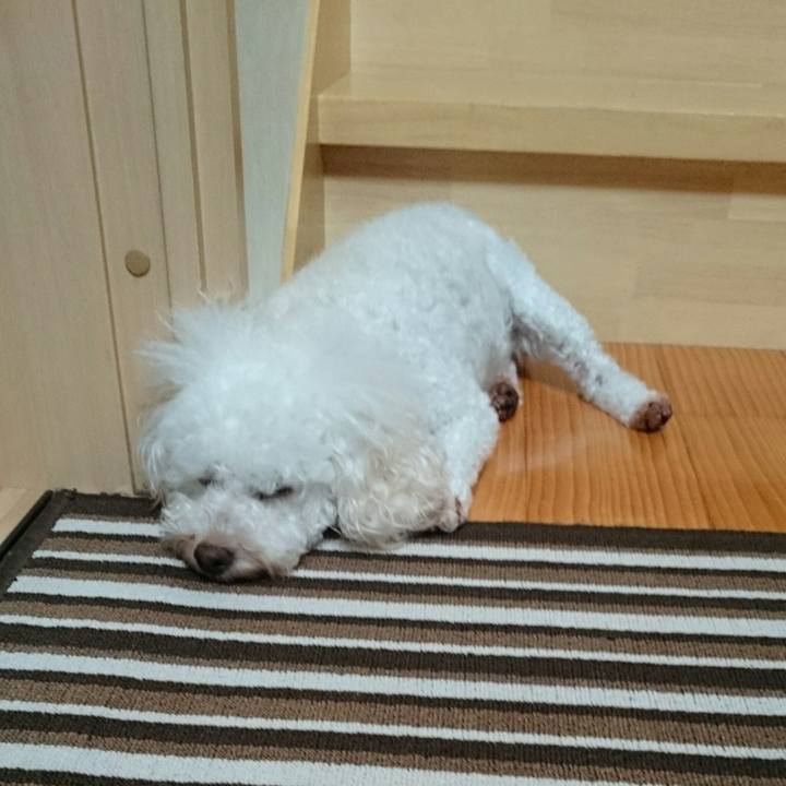 4b3b0cc3 365e 433f 8bef bc9734aa7c4d