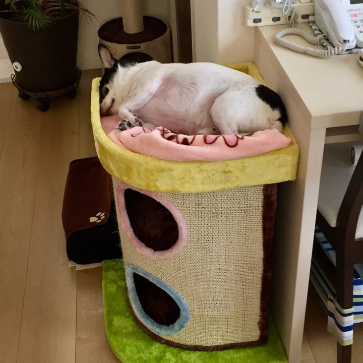 4b3b44a6 fe58 46f7 8acb a8daa626f7cd