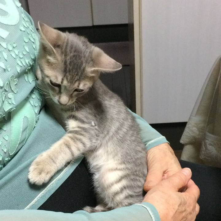 4b3c03b7 32e7 44e8 81a9 92acee3b8f26