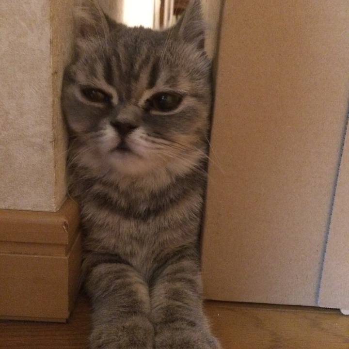 4b3d0539 9f63 4fdb b77a 3e5667ac3bdc