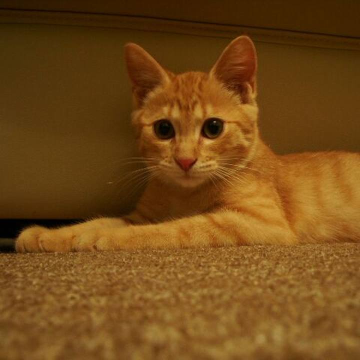 4b3d3e09 fbbe 4a73 b6df ea70c2482835