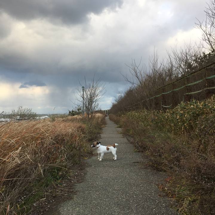 4b3d5fd0 6f4a 4a83 8711 213d521c7479