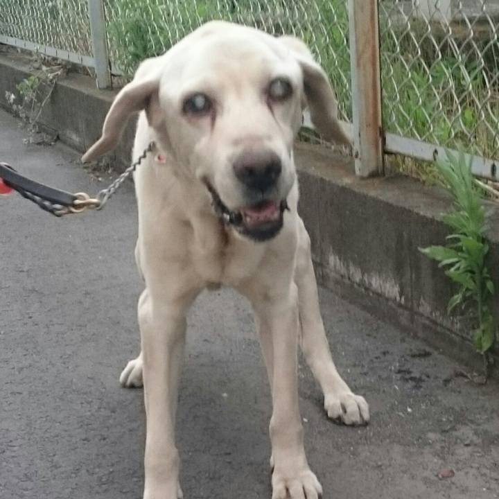 4b3d6e16 df77 4f3a b189 a76cd3fc3107