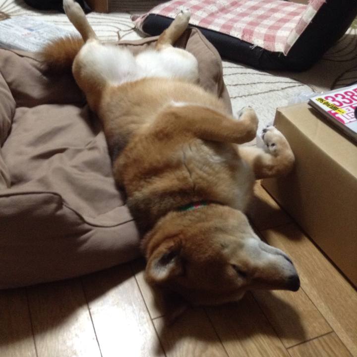 4b3d7237 58b1 42b0 a216 4a5089730889