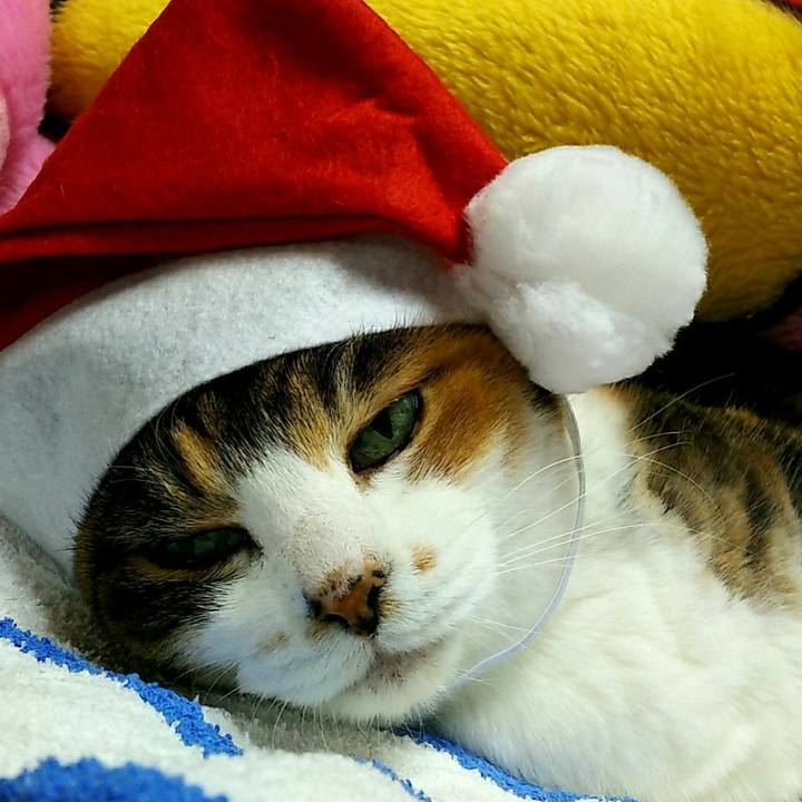 4b3d8159 9af1 41f7 a4a6 3b43c7484f72