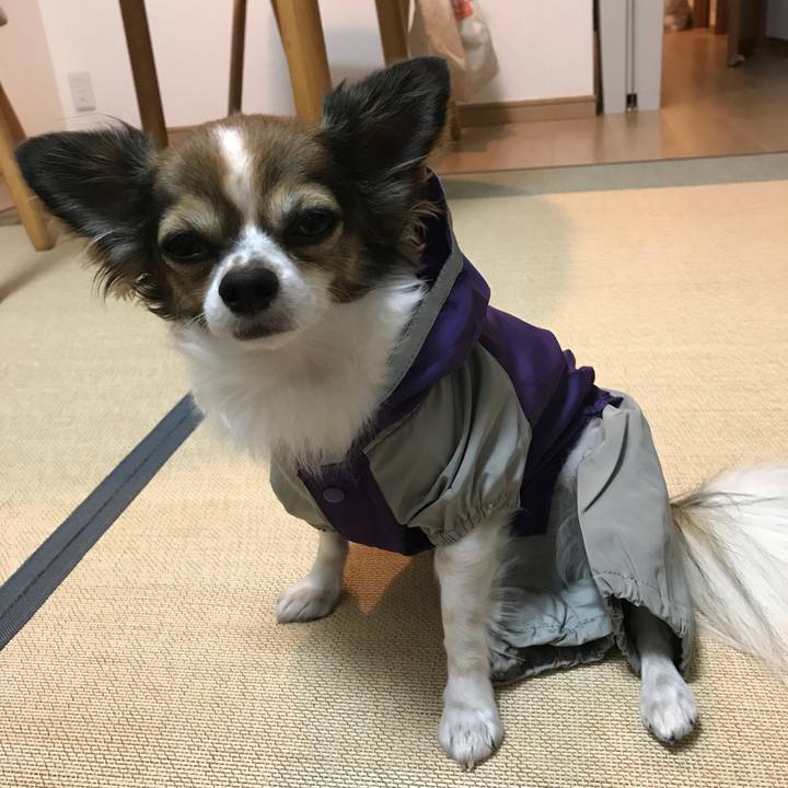 4b3d84f5 feee 48df bfc6 b9d638084814