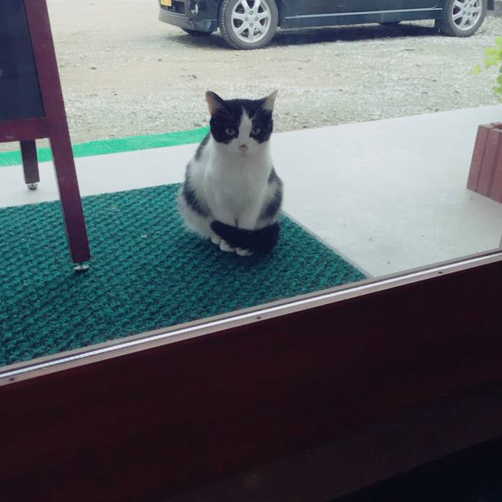 4b3df5d9 1bee 4dc8 85cb 1e8a8776878e