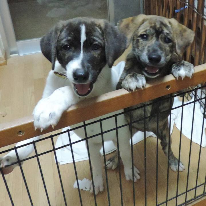 4b3e0a79 ad64 4dee bba8 202e94ae7975