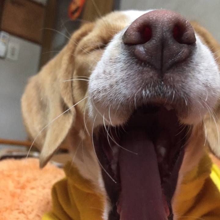 4b3e5a14 6047 4ce9 b119 39092a10c90f