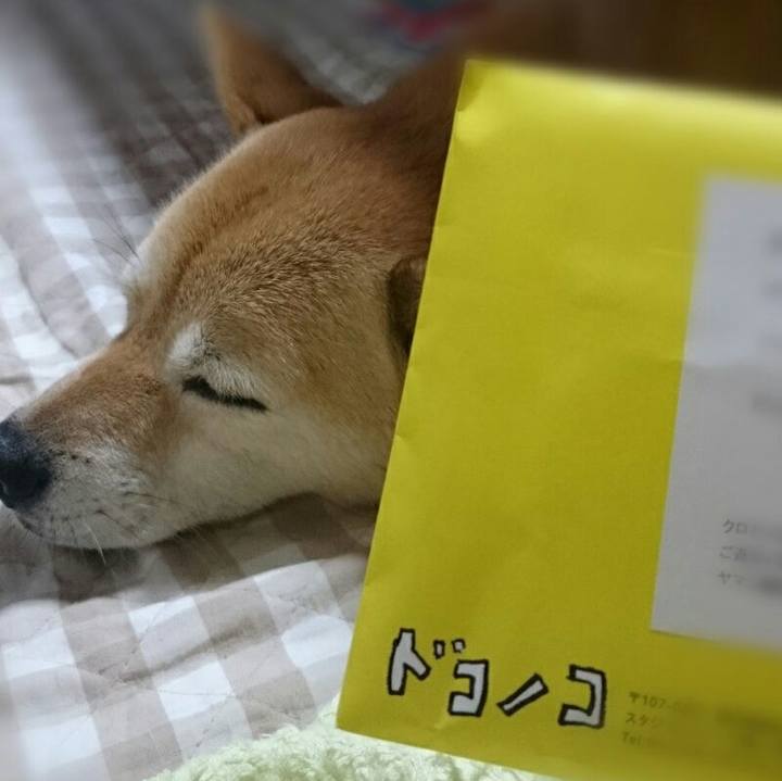 4b3ee33c 2ff8 4c9e 991a fffb8741475e