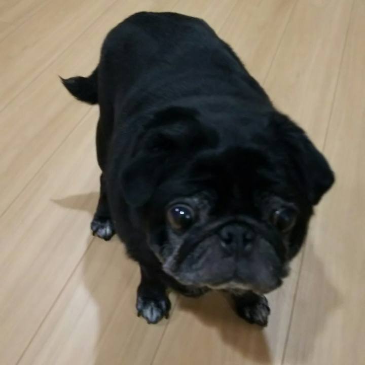 4b3f4440 6673 415a aad3 9bb161e2f13d