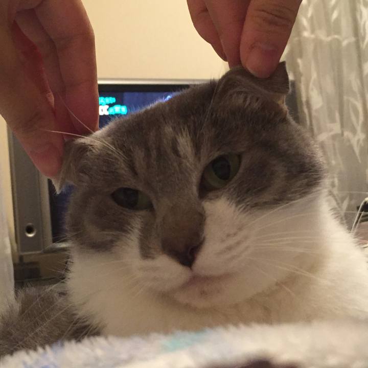 4b3f58e2 e6c4 46ae bb65 b4f0e675e5e6