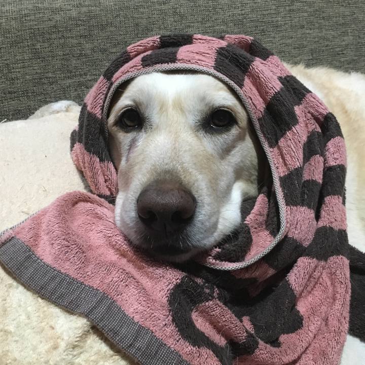 4b3fa97a 393b 4d65 b5e7 e5f6ca243dcc