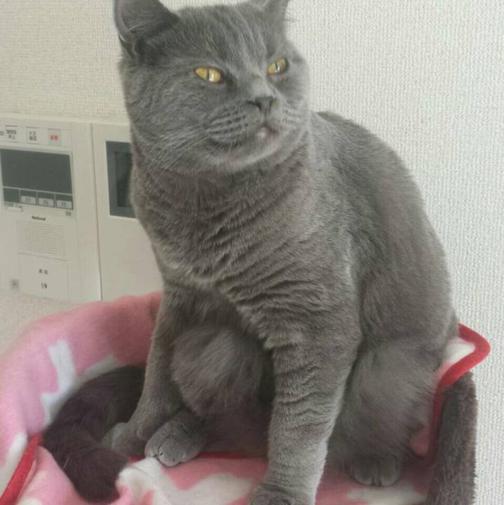 4b3fe591 9c35 4c79 ae5b 07485bc5367d