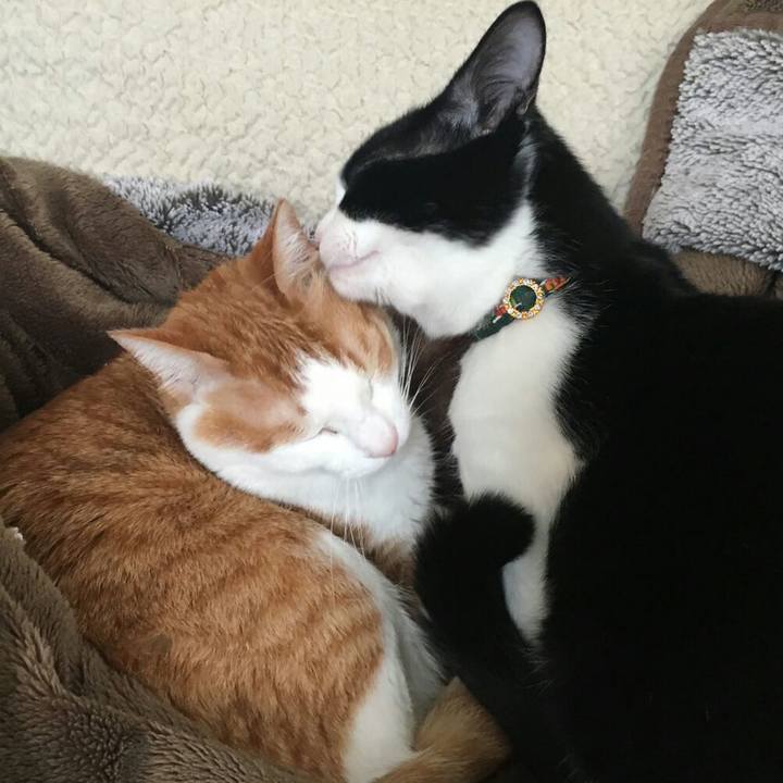 4b4008ad d18b 4153 97b4 4083a80d9ac2