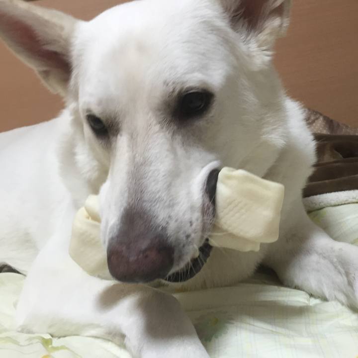 4b405399 695f 45dd b99c 9268a419a8b7