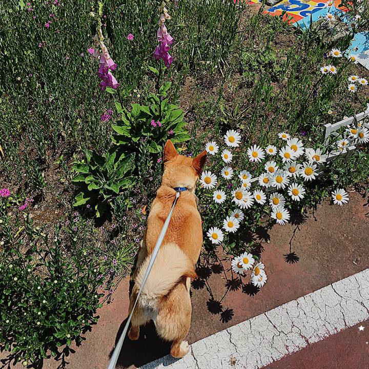 4b40823e 4186 41ff 87c1 d8ae3588c416