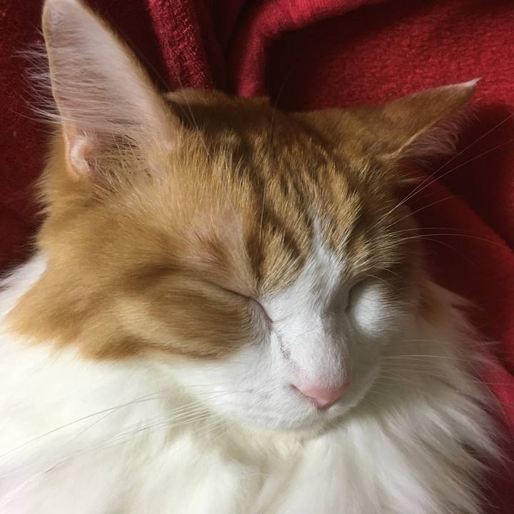 4b40d2b6 424b 4f55 bd72 52eb989e4dad