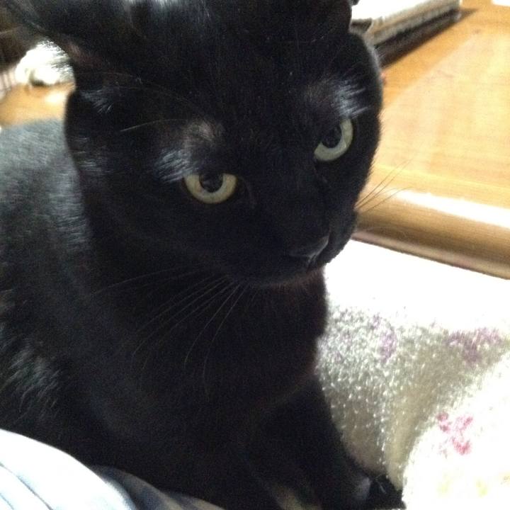 4b41d01b 7775 463b b228 447365c47dc1