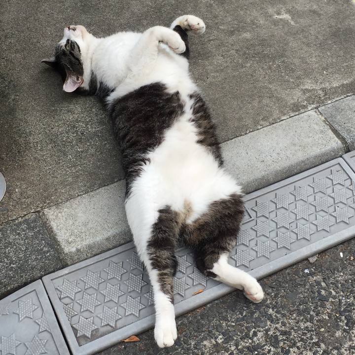 4b41f53b 9e31 46fe a478 f85da4c0a01f