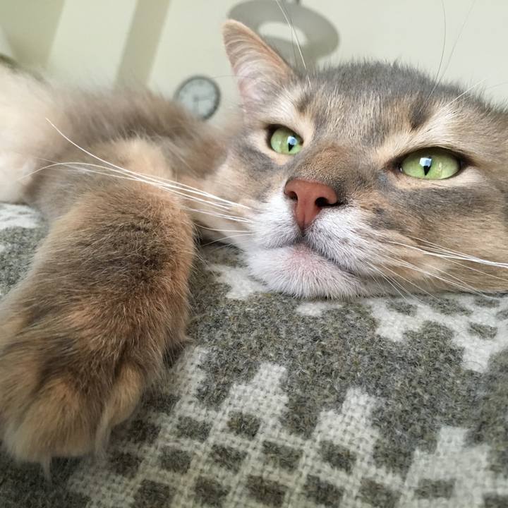 4b420f30 0fe7 492a b307 222ee545a229