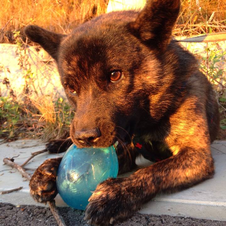 4b420ff7 e83d 42bf a312 335d485cb44e