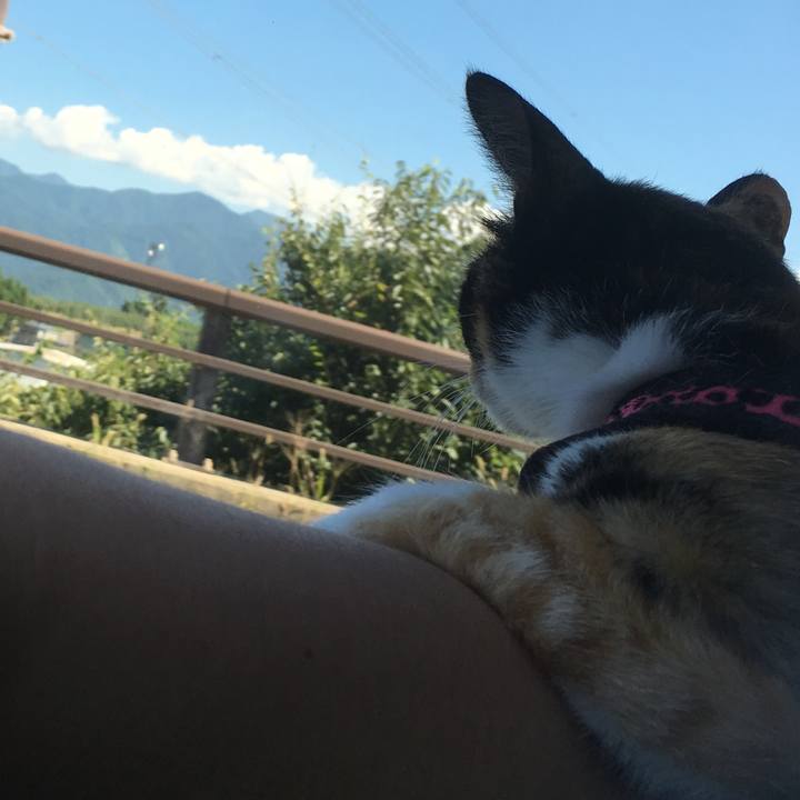 4b4254cf 1e81 40a2 a9ad 831d352e3831