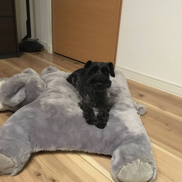 4b42f3c1 4d7a 4220 9a17 e16cdafc9923