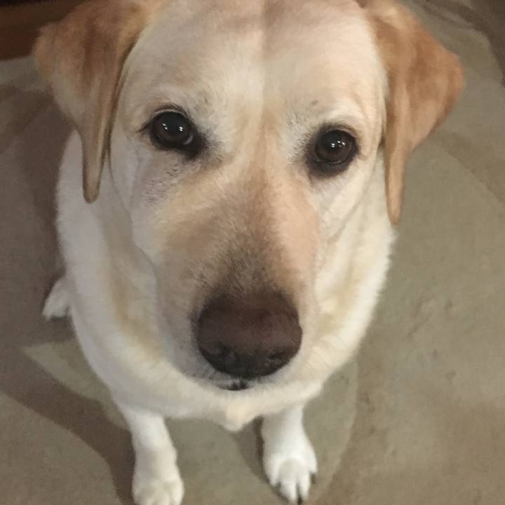 4b42f702 81f8 4623 95ac ce2cacc45e69