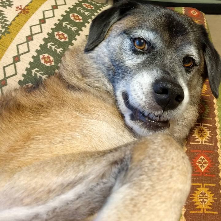 4b435f53 9e65 43af 9664 8bb26f16ae1d