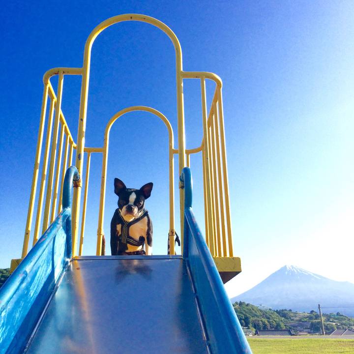 4b4408d0 4af7 4148 b22b e8524c1cdca9