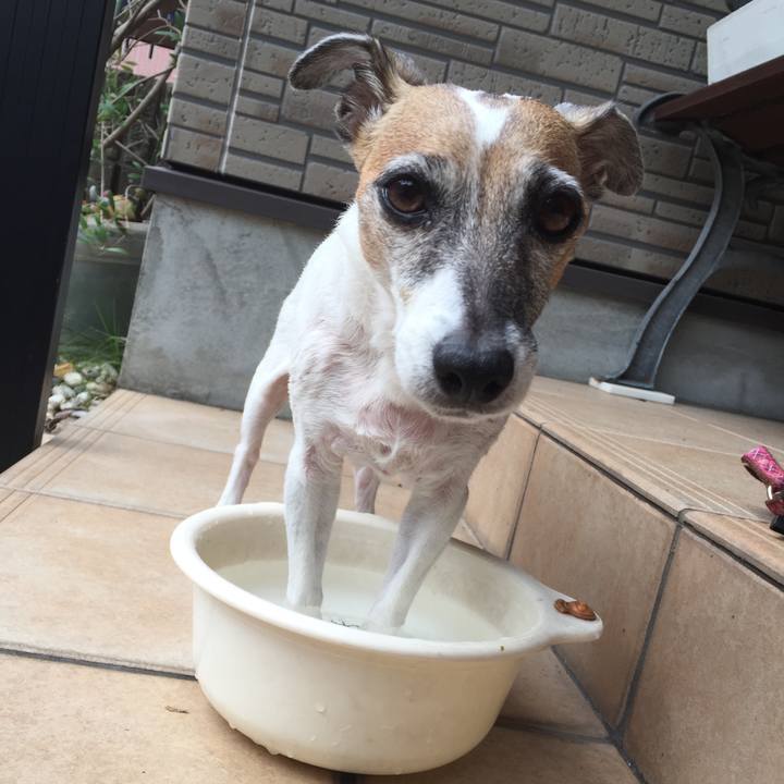 4b441972 e602 45dc 9f72 e376820eacbf