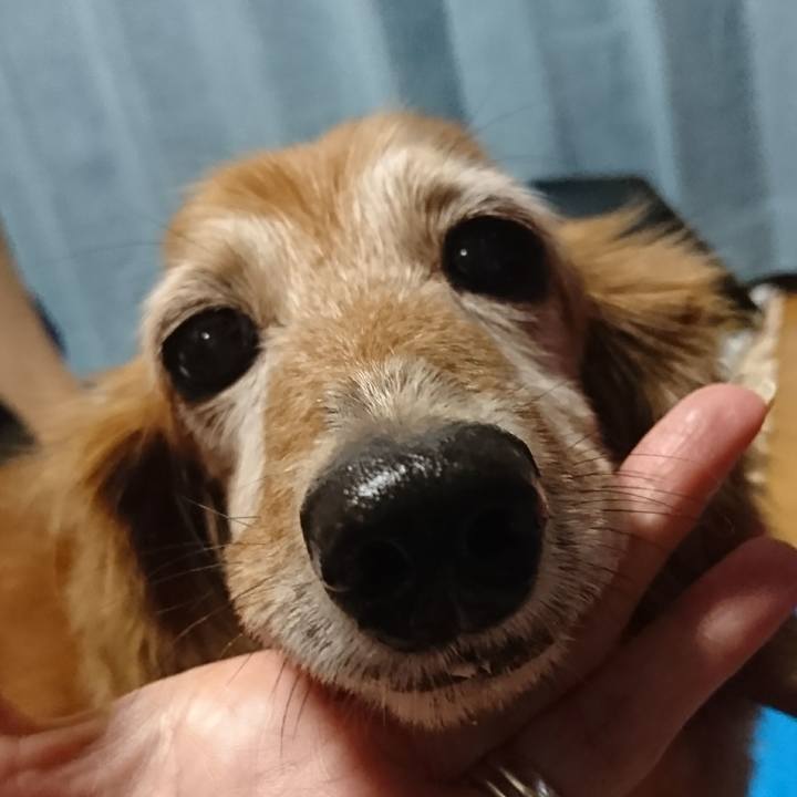 4b441cfc 0ca1 4ec1 a768 a96c4870ae26