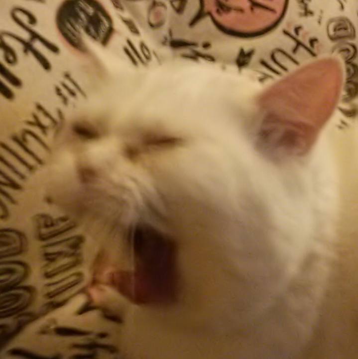 4b442c27 059a 4fc3 b51f d9b60f34e611