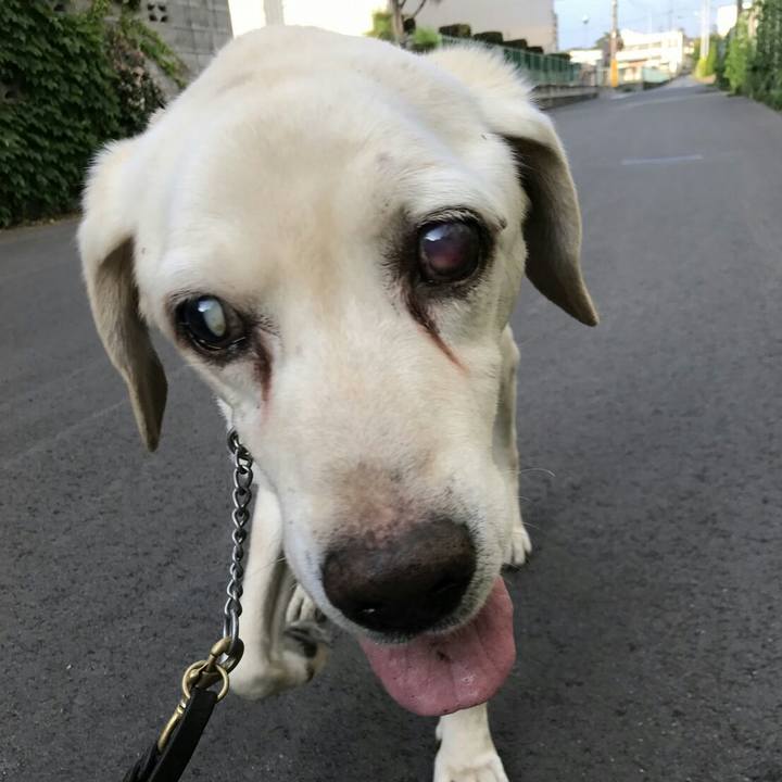 4b44a4bb 077d 482e b685 88acae2c1e08