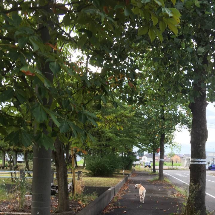 4b44df94 dfcb 40f9 a98e 02f601ae2052