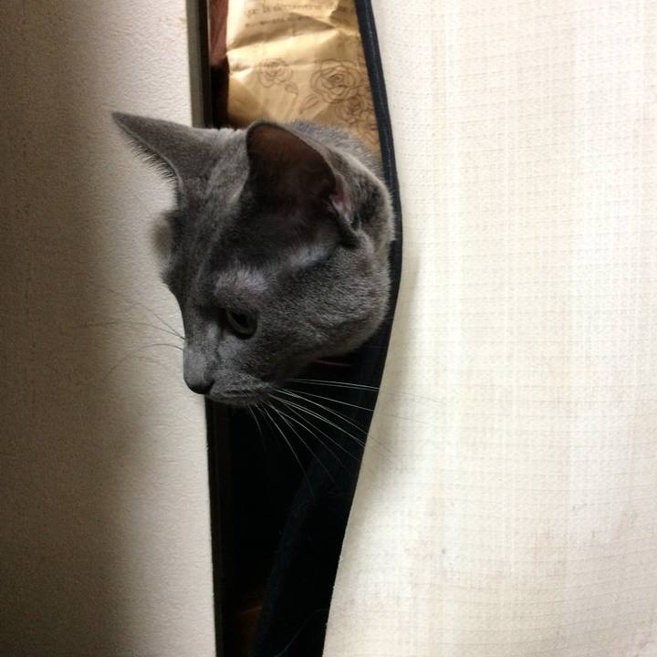 4b4591e1 3ce2 4617 bc31 3a914f0c16f1