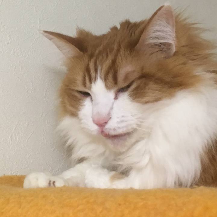 4b45d621 82c9 4322 a28c 6e77823c5bd4