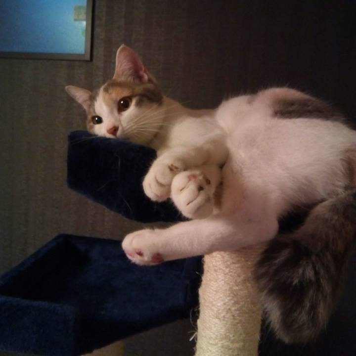 4b461bc6 5ae9 405c 80b7 66cc845b6431