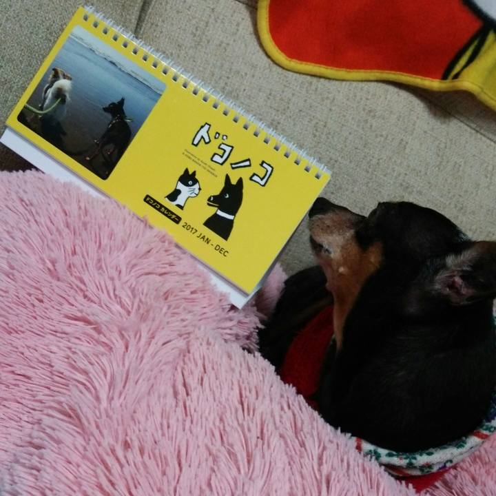 4b462f6c c9f5 48d6 b208 b81109c45df0