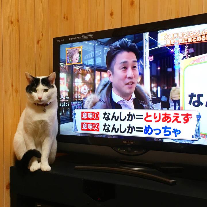 4b463326 4b86 4916 a026 23eac862e06e