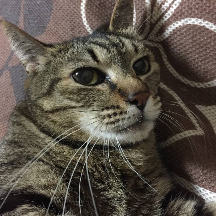 4b466600 eb3b 49bc be27 9aabf5b26c64